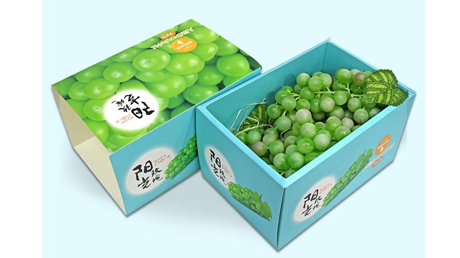 陽(yáng)光玫瑰葡萄禮盒